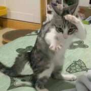 ヒメ日記 2025/03/11 22:54 投稿 志乃 熟女の風俗最終章 横浜本店