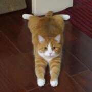 ヒメ日記 2025/05/19 20:54 投稿 志乃 熟女の風俗最終章 横浜本店