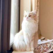 ヒメ日記 2025/06/10 17:07 投稿 志乃 熟女の風俗最終章 横浜本店