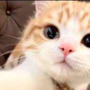 ヒメ日記 2025/07/30 19:33 投稿 志乃 熟女の風俗最終章 横浜本店