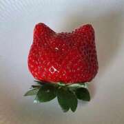 ヒメ日記 2025/08/15 12:52 投稿 志乃 熟女の風俗最終章 横浜本店