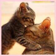 ヒメ日記 2025/09/28 16:36 投稿 志乃 熟女の風俗最終章 横浜本店