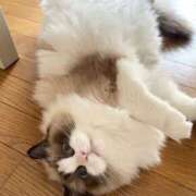 ヒメ日記 2025/09/29 13:29 投稿 志乃 熟女の風俗最終章 横浜本店