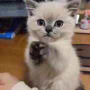 志乃 出てます🍀*゜ 熟女の風俗最終章 横浜本店