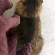 ヒメ日記 2025/12/15 22:24 投稿 志乃 熟女の風俗最終章 横浜本店