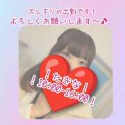 ヒメ日記 2025/11/27 12:01 投稿 たきな 世界のあんぷり亭 立川店