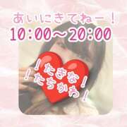 ヒメ日記 2026/03/31 12:00 投稿 たきな 世界のあんぷり亭 立川店