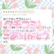 ヒメ日記 2025/03/10 08:28 投稿 いろ ソープランド AQUA（アクア）