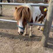 ヒメ日記 2025/06/19 12:49 投稿 いろ ソープランド AQUA（アクア）