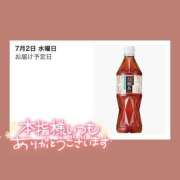 ヒメ日記 2025/06/29 10:18 投稿 いろ ソープランド AQUA（アクア）