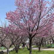 ヒメ日記 2025/08/21 19:02 投稿 いろ ソープランド AQUA（アクア）