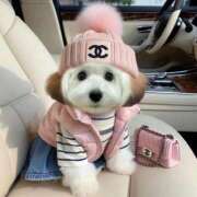 ヒメ日記 2026/01/09 11:58 投稿 いろ ソープランド AQUA（アクア）