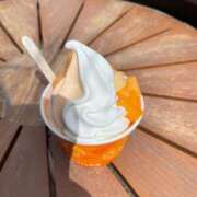 ヒメ日記 2026/02/13 15:18 投稿 いろ ソープランド AQUA（アクア）