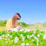 ヒメ日記 2026/05/11 15:43 投稿 体験さゆ ACCENT[アクセントグループ]