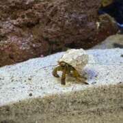 ヒメ日記 2025/08/28 00:06 投稿 なつ ぽっちゃり巨乳専門店 町田相模原ちゃんこ