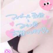 ヒメ日記 2026/04/19 06:08 投稿 ゆあん ぷよステーション 蒲田店