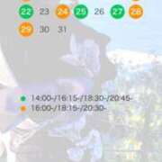 やよい 12月カレンダー！ 激安ドットコム