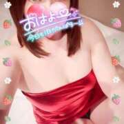 ヒメ日記 2025/03/05 07:31 投稿 つばさ REDROOM (レッドルーム)