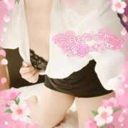 ヒメ日記 2025/04/01 07:31 投稿 つばさ REDROOM (レッドルーム)