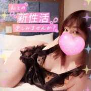 ヒメ日記 2025/04/03 08:01 投稿 つばさ REDROOM (レッドルーム)