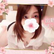 ヒメ日記 2025/04/09 08:18 投稿 つばさ REDROOM (レッドルーム)