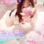 ヒメ日記 2025/04/24 07:31 投稿 つばさ REDROOM (レッドルーム)