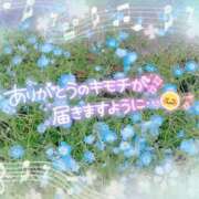 ヒメ日記 2025/04/24 20:39 投稿 つばさ REDROOM (レッドルーム)