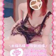 ヒメ日記 2025/05/25 20:30 投稿 つばさ REDROOM (レッドルーム)