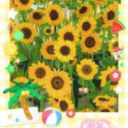 ヒメ日記 2025/08/04 23:21 投稿 つばさ REDROOM (レッドルーム)