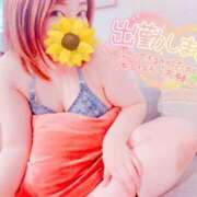 ヒメ日記 2025/09/01 08:21 投稿 つばさ REDROOM (レッドルーム)