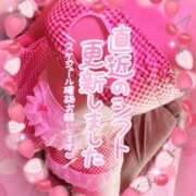 ヒメ日記 2026/02/28 22:14 投稿 つばさ REDROOM (レッドルーム)