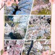 ヒメ日記 2026/04/08 07:31 投稿 つばさ REDROOM (レッドルーム)