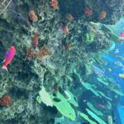 ヒメ日記 2025/04/20 09:57 投稿 ゆい 茨城龍ヶ崎取手ちゃんこ