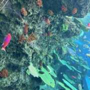 ヒメ日記 2025/04/20 10:06 投稿 ゆい 茨城龍ヶ崎取手ちゃんこ