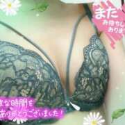 ヒメ日記 2024/12/17 18:06 投稿 ひかり 新橋夜這右衛門娼店～夜這・即尺・痴漢・人妻～