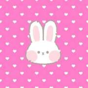 ヒメ日記 2025/02/26 16:14 投稿 松浦　せいら つくば風俗エキスプレス   ヌキ坂46