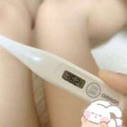 ヒメ日記 2025/02/27 15:06 投稿 松浦　せいら つくば風俗エキスプレス   ヌキ坂46