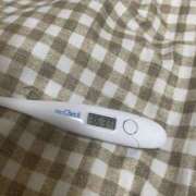 ヒメ日記 2026/04/10 15:34 投稿 松浦　せいら つくば風俗エキスプレス   ヌキ坂46