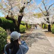 ヒメ日記 2025/04/20 12:23 投稿 いぶ マリン土浦本店
