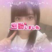 すみれ 本日❣️ 日暮里・西日暮里サンキュー