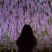 ヒメ日記 2025/04/17 00:50 投稿 まほ ハピネス東京