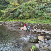 ヒメ日記 2025/06/01 09:17 投稿 まほ ハピネス東京