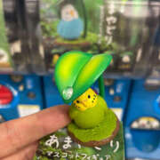 ヒメ日記 2025/06/09 18:17 投稿 まほ ハピネス東京