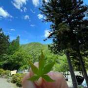 ヒメ日記 2025/06/22 13:00 投稿 まほ ハピネス東京