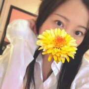 ヒメ日記 2025/07/13 06:08 投稿 まほ ハピネス東京