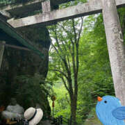 ヒメ日記 2025/07/25 21:47 投稿 まほ ハピネス東京