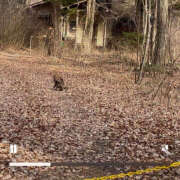 ヒメ日記 2026/01/05 21:37 投稿 まほ ハピネス東京