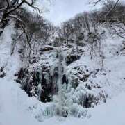 まほ 強く豊かに♡ ハピネス東京