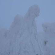 まほ 2／25早番出勤✨まほ ハピネス東京