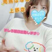 ヒメ日記 2024/12/09 15:04 投稿 ましろ 完熟ばなな 上野店